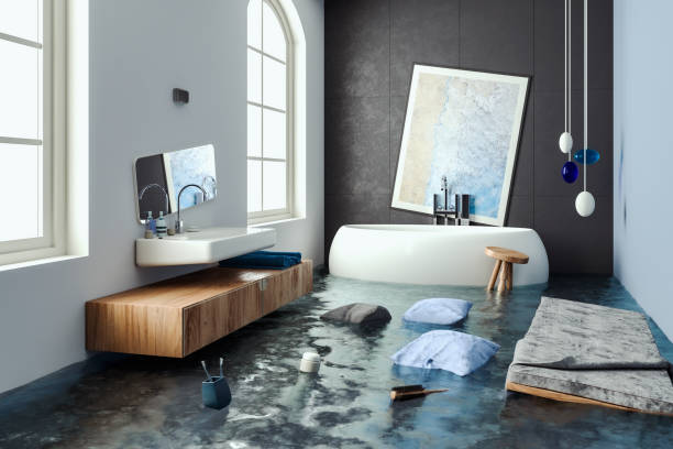 Best Ceiling water damage repair  in Tega Cay, SC