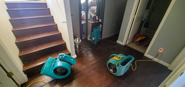 Best Ceiling water damage repair  in Tega Cay, SC