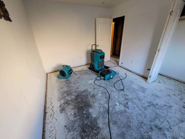Best Water damage restoration mold remediation  in Tega Cay, SC