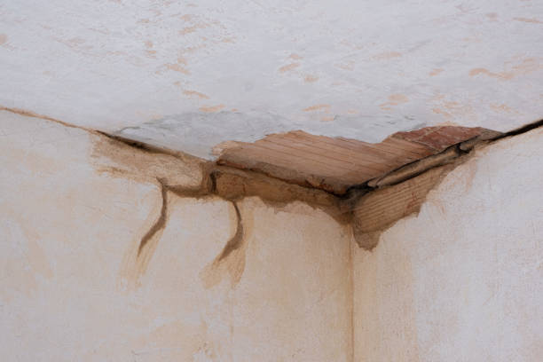Best Flood damage cleanup  in Tega Cay, SC