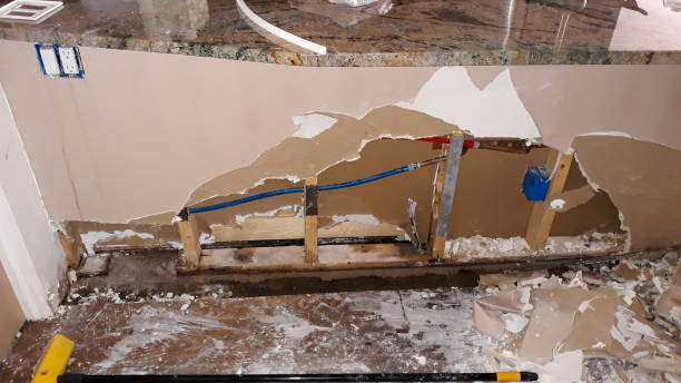 Best Water damage cleanup near me  in Tega Cay, SC
