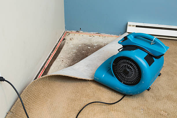Best Water damage restoration cost  in Tega Cay, SC